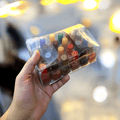 24 - Piece Nail Paint Set – 24 Vibrant Shades | Long - Lasting & High - Quality Colours - Zayluxe Care