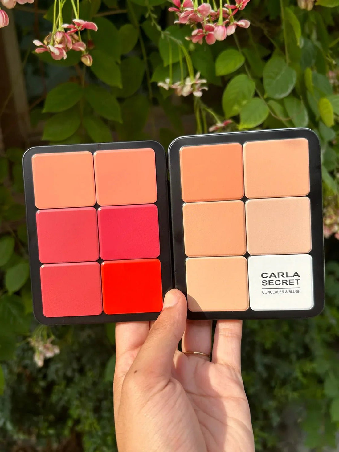 Carla Secret Concealer & Blush Professional Makeup - Zayluxe Care