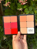 Carla Secret Concealer & Blush Professional Makeup - Zayluxe Care